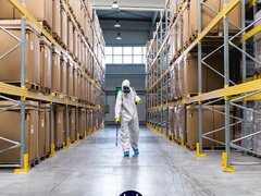 Spaima Goangelor, deratizare, dezinsectie dezinfectie Ilfov - Buc, Urziceni